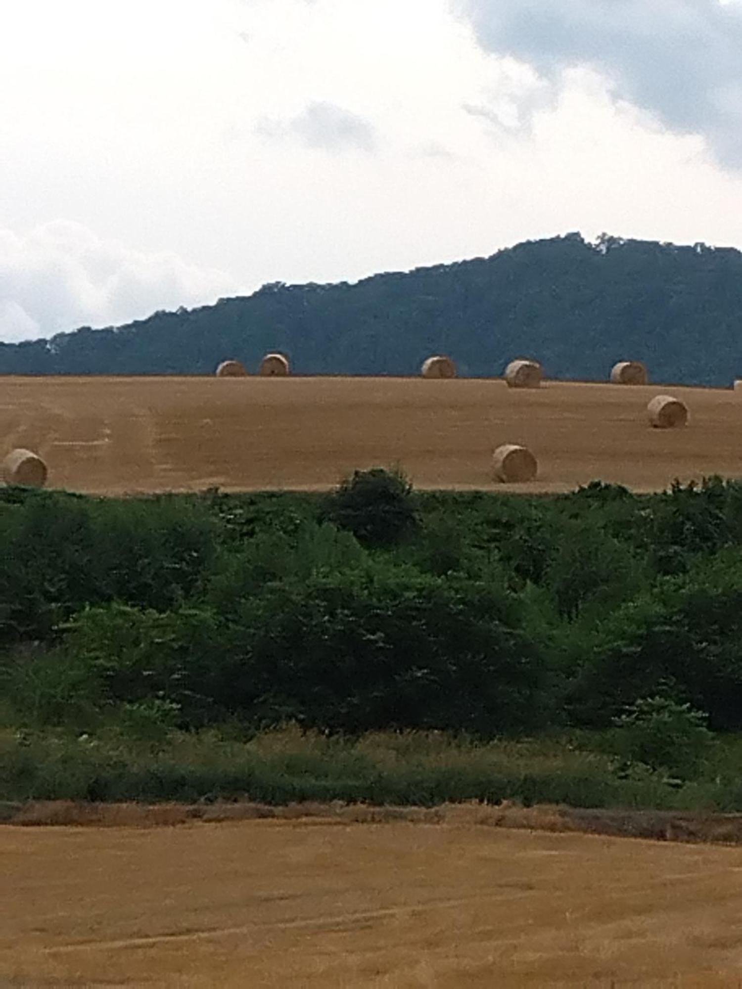 Daramusara - Vacation Stay 13520 ฟุระโนะ ภายนอก รูปภาพ